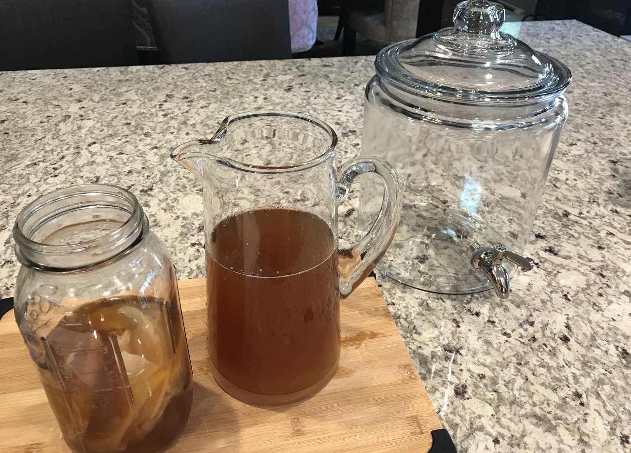 Kombucha, The Tea of Immortality