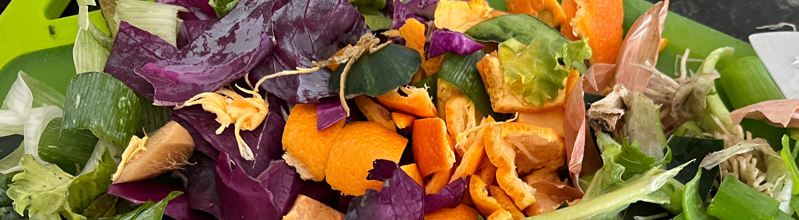 Make Your Own Bokashi Compost Bucket